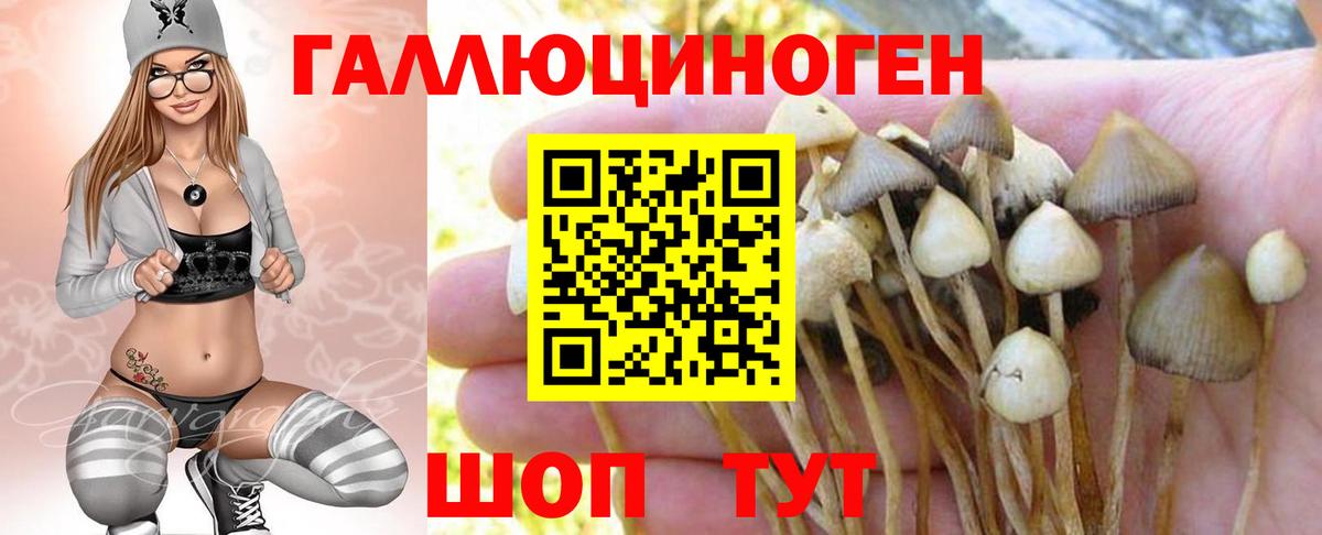 Галлюциногенные грибы мухоморы  Вход с VPN  Пугачёв 