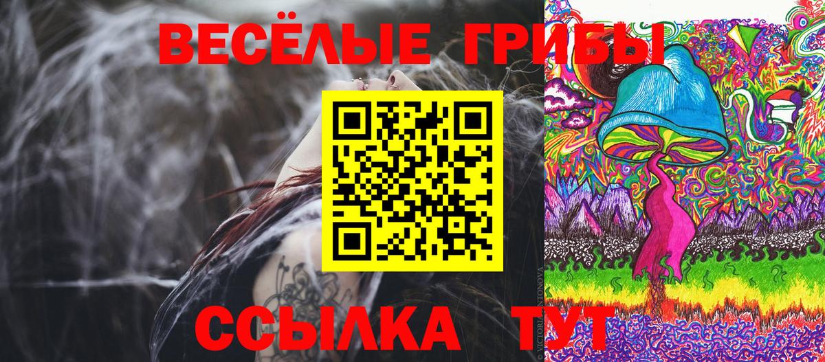 Галлюциногенные грибы Psilocybe Пугачёв